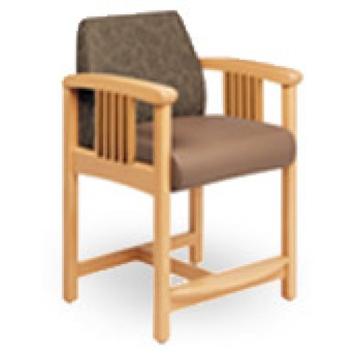 hip replacement material for Spec Hi Chair, Cooper Chair Hip Healthcare