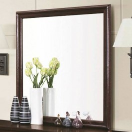Coaster Furniture Louis Philippe Master Bedroom Mirror in Cappuccino 202414