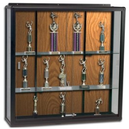 Balt Display Cases Wall Mount 36" x 16" x 48" Oak BLT90W8310