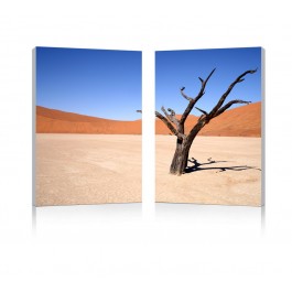 Wholesale Interiors Fg-1065Ab Desert Solitude Mounted Photography Print Diptych