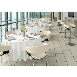 Allermuir Mollie Dining Reception Guest Chair