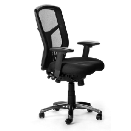 Friant Zone High Back Executive Conference Chair