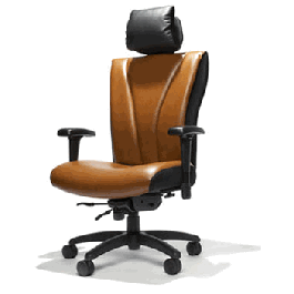 RFM Sierra Chair, Executive Office Task Chair