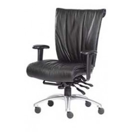 Mid Back Chair,Neutral Posture,Embrace Motion,EMM2