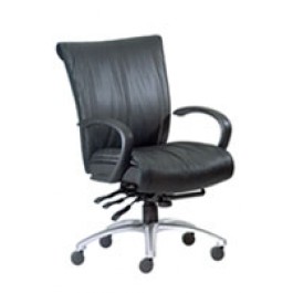 Neutral Posture Therapedic Embrace Motion Office Chair
