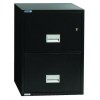 Phoenix Safe LTR2W25 2 drawer letter size vertical fire file 25 inches deep key lock
