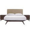 Modway MOD-5261-CAP-LAT-SET Tracy 3 Piece Queen Bedroom Set in Cappuccino Latte