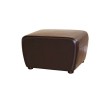 Wholesale Interiors Full Leather Ottoman Dark Brown Y-051-001-dark brown