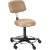 Legacy Encompass 101R, Healthcare Medical Stool, with Back