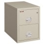 FireKing 2-1831-C Vertical Files 2 Drawer Letter