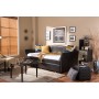 Baxton Studio London-Brown-Daybed London Back Sofa Twin Daybed with Roll-Out Trundle Guest Bed