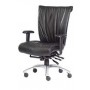 Mid Back Chair,Neutral Posture,Embrace Motion,EMM2