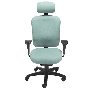Nightingale Dany 8400 Chair, Executive Office Ergonomic Chair