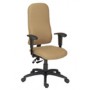 High Back Executive Ergonomic Task Chair, Multi Function ADI Chair